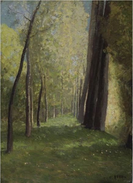 Allee D'Arbres