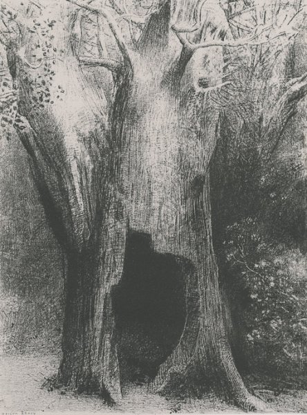 I plunged into solitude. I dwelt in the tree behind me. (plate 9)