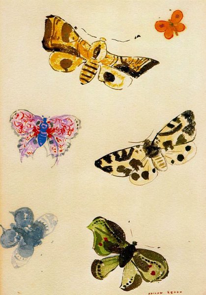 Butterflies 3